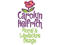 carol-helfrich