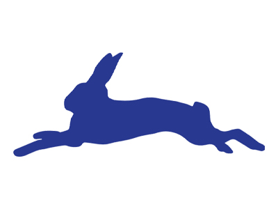 confident-rabbit